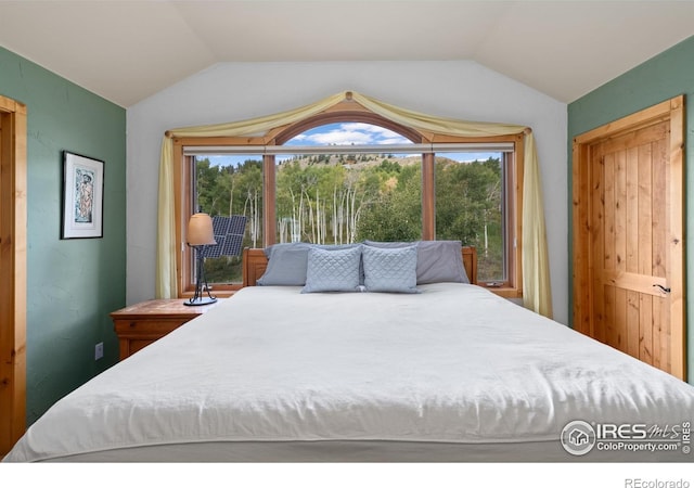 bedroom with lofted ceiling