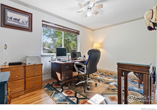 office area with ceiling fan, light hardwood / wood-style flooring, and ornamental molding