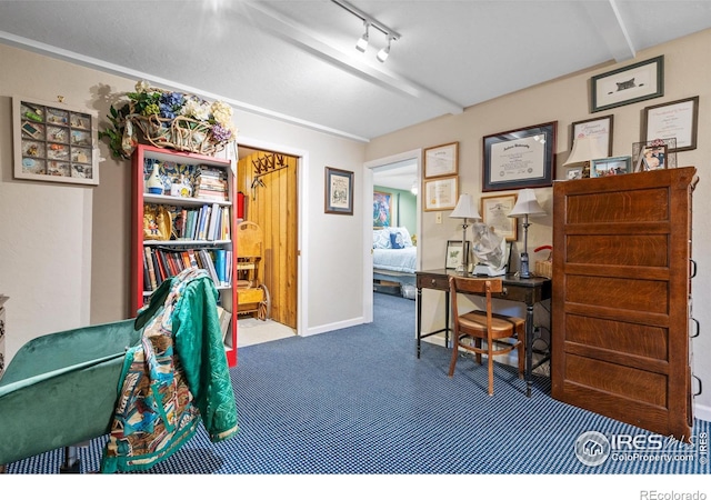 home office featuring carpet floors and rail lighting