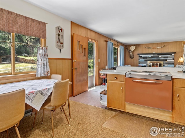 kitchen featuring a wealth of natural light and wooden walls