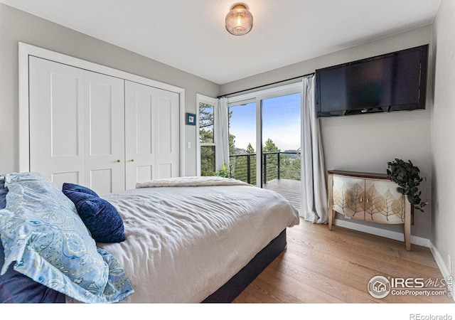 bedroom featuring wood-type flooring, a closet, and access to outside