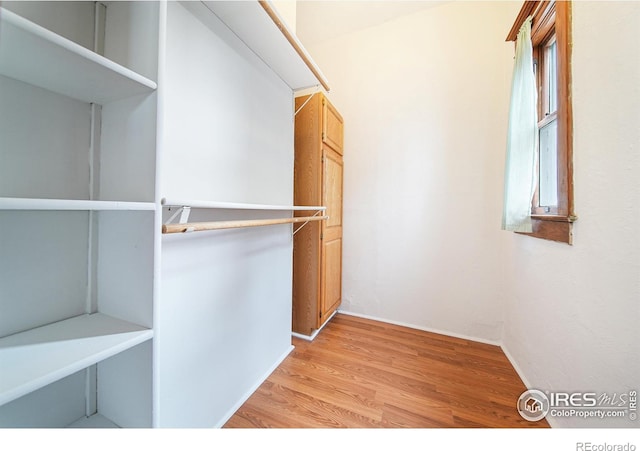 spacious closet featuring light hardwood / wood-style flooring