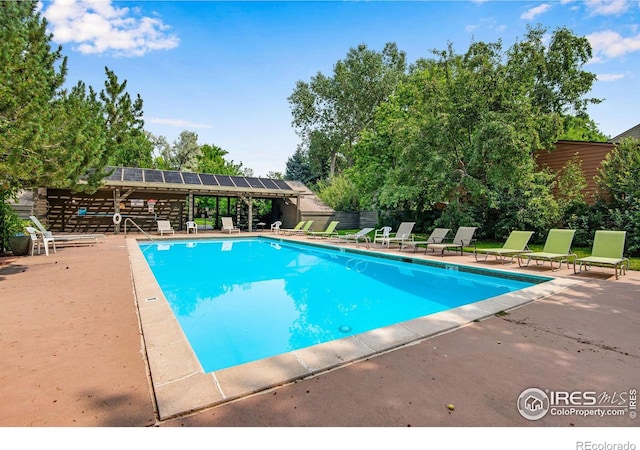 view of pool with a patio area