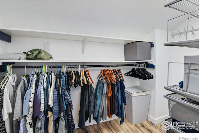 spacious closet with hardwood / wood-style floors