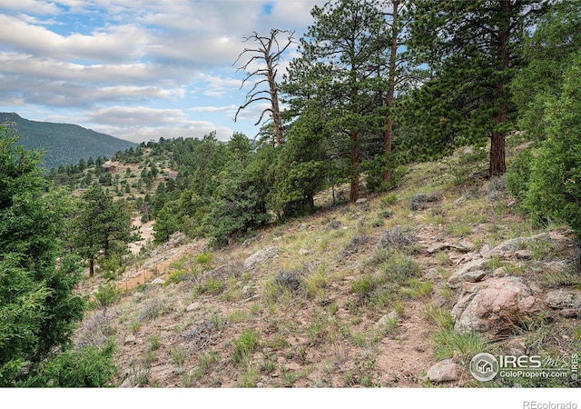 Listing photo 3 for 0 Prospect Mountain Dr, Estes Park CO 80517