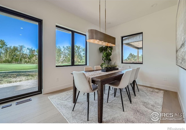 dining area featuring plenty of natural light and light hardwood / wood-style floors