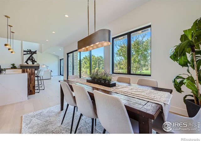 dining room with light hardwood / wood-style flooring