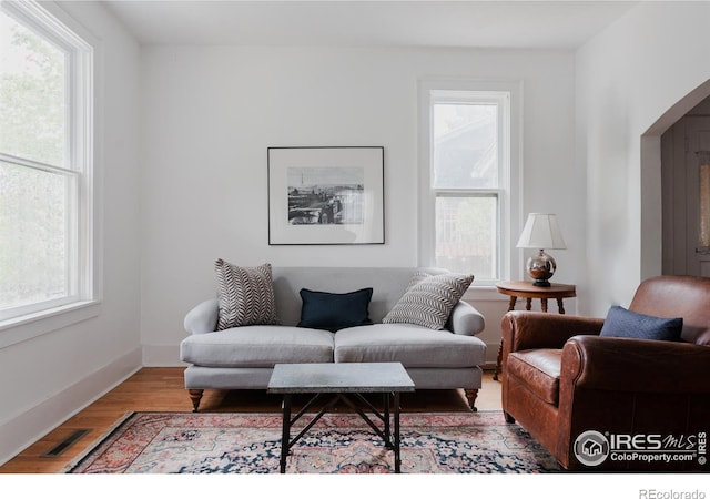 living room featuring hardwood / wood-style flooring