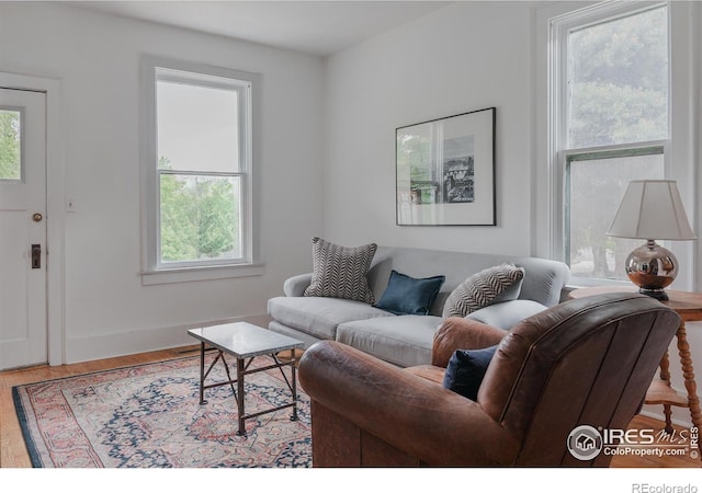 living room with hardwood / wood-style flooring