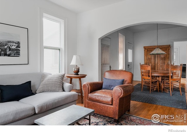 living room with wood-type flooring