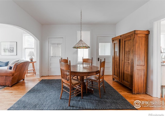 dining room featuring a healthy amount of sunlight and light hardwood / wood-style flooring