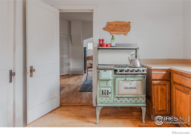 kitchen featuring light wood-type flooring