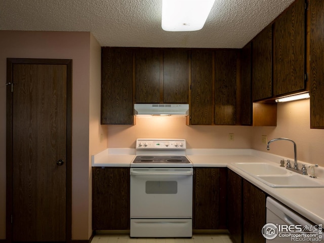 kitchen with dishwashing machine, dark brown cabinetry, under cabinet range hood, a sink, and electric stove