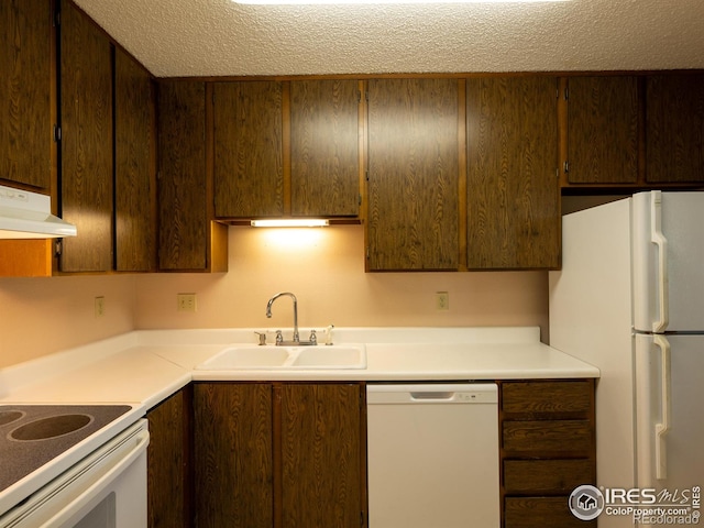 kitchen featuring white appliances, a sink, under cabinet range hood, and dark brown cabinetry