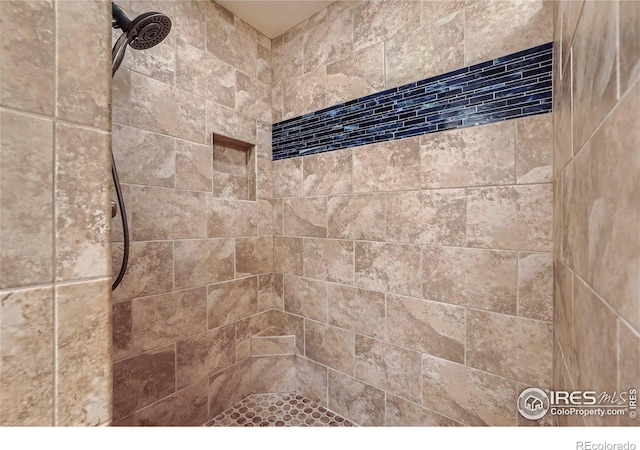 interior details featuring a tile shower