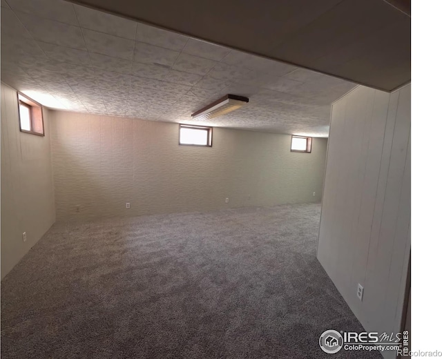 619 Curtis St, Brush, CO 80723 - below grade area featuring carpet flooring and plenty of natural light