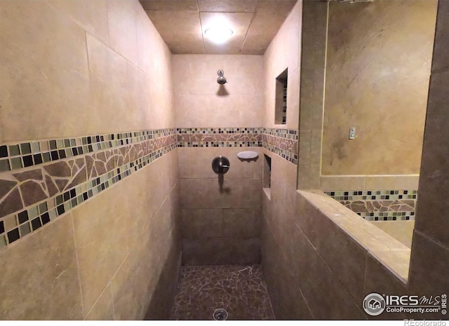 619 Curtis St, Brush, CO 80723 - bathroom with a tile shower and tile walls