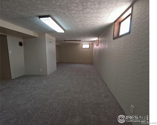 619 Curtis St, Brush, CO 80723 - below grade area with carpet flooring