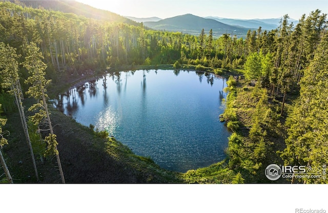 water view with a forest view and a mountain view