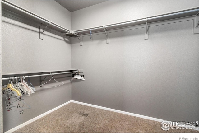 spacious closet featuring carpet flooring