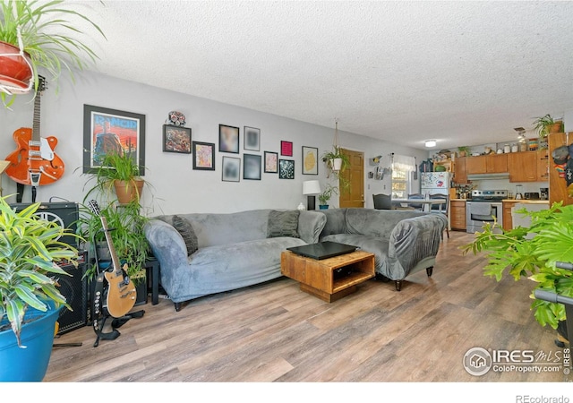 3300 Madison Ave, Boulder, CO 80303 - living area with light wood finished floors and a textured ceiling