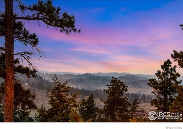 679 Mount Massive Dr, Livermore, CO 80536 - mountain view