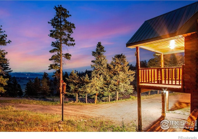 679 Mount Massive Dr, Livermore, CO 80536 - view of yard