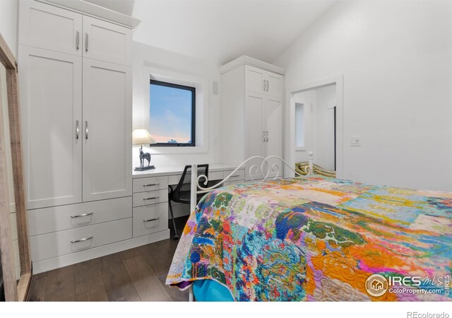 bedroom featuring lofted ceiling and dark wood-type flooring