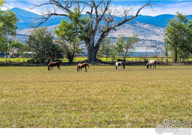 view of property's community featuring a mountain view, a rural view, and a lawn