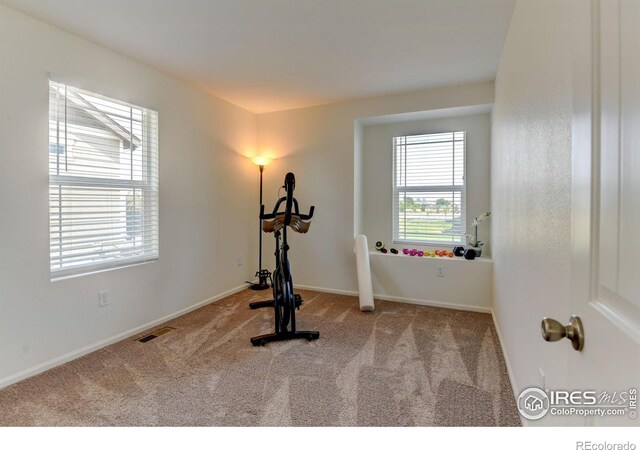 exercise area with light colored carpet