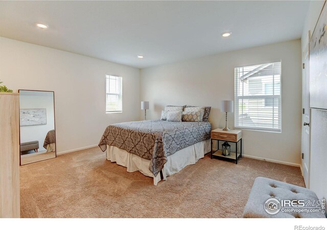 bedroom with light colored carpet