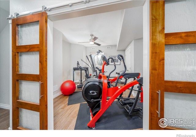 workout area featuring ceiling fan and wood-type flooring