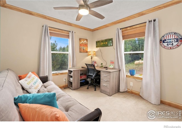 home office featuring light carpet, ceiling fan, and ornamental molding