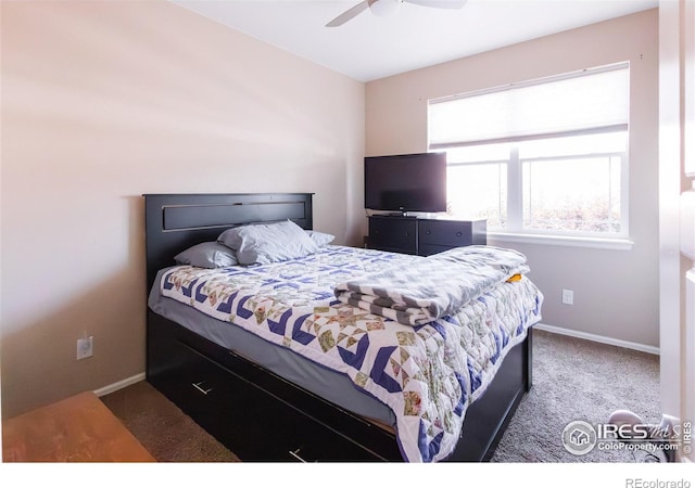 2016 81st Ave, Greeley, CO 80634 - photo 20