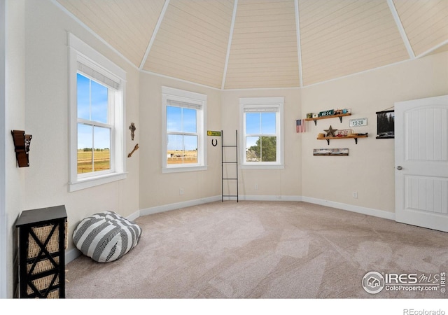 living area featuring carpet flooring, a healthy amount of sunlight, and high vaulted ceiling