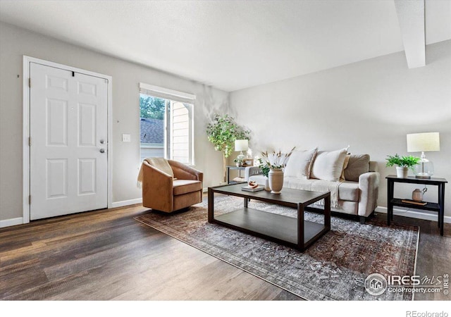 living room featuring hardwood / wood-style floors