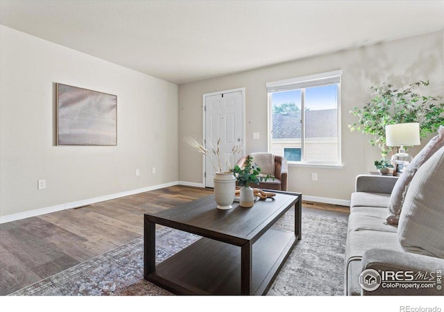 living room with hardwood / wood-style floors