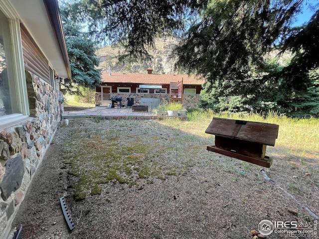 view of yard with a patio