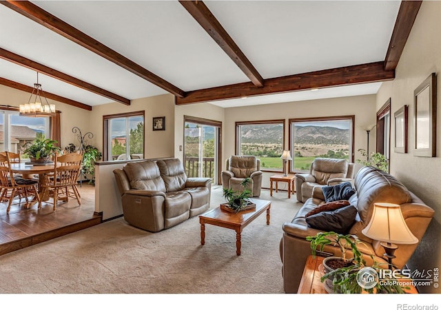 carpeted living room with an inviting chandelier and lofted ceiling with beams