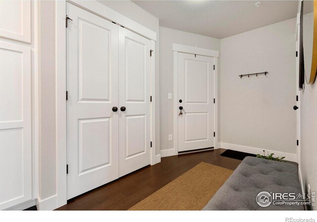 foyer featuring dark hardwood / wood-style flooring