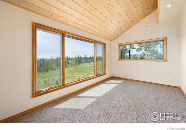 spare room featuring a healthy amount of sunlight, wood ceiling, and carpet floors