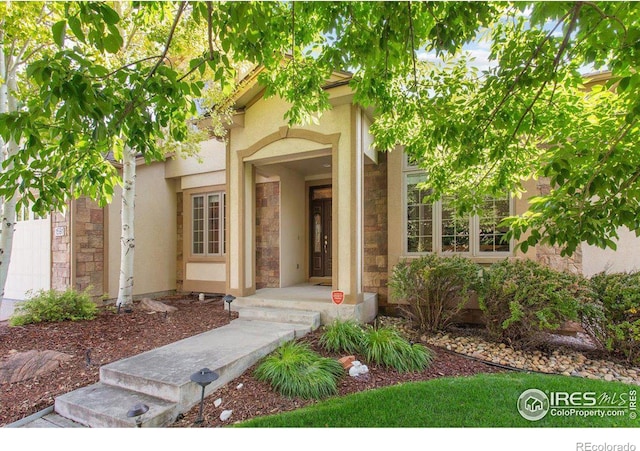 entrance to property featuring stucco siding