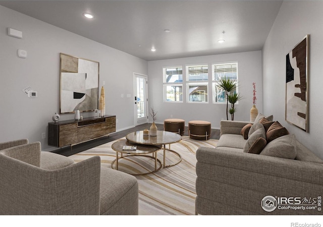 living room with wood-type flooring