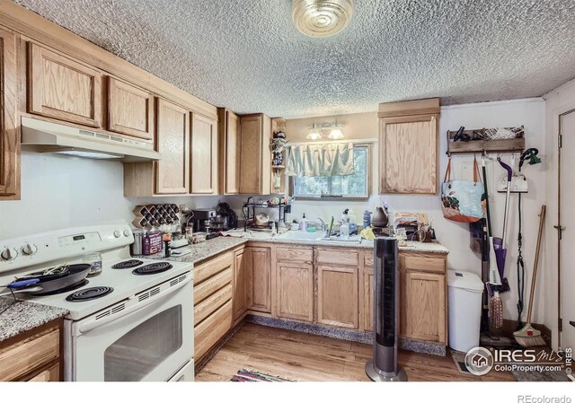 kitchen with sink, light stone counters, light wood-type flooring, a textured ceiling, and white electric range