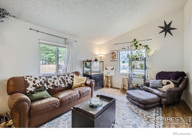 living room featuring lofted ceiling, a textured ceiling, and hardwood / wood-style flooring