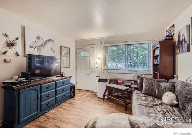 living room featuring light hardwood / wood-style flooring