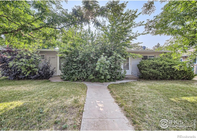 1308 Castlerock Dr, Fort Collins, CO 80521 - view of yard