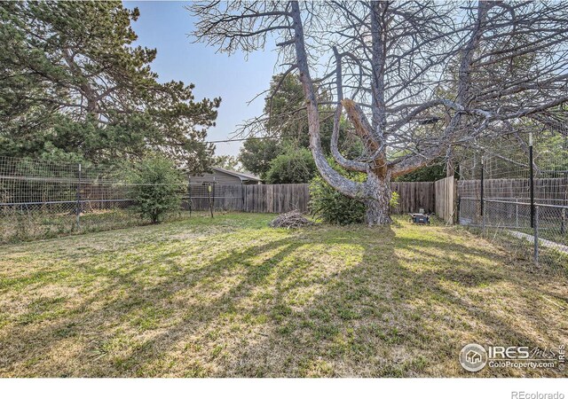 1308 Castlerock Dr, Fort Collins, CO 80521 - view of yard