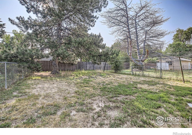 1308 Castlerock Dr, Fort Collins, CO 80521 - view of yard