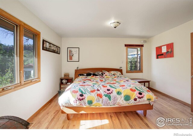 bedroom with light hardwood / wood-style floors